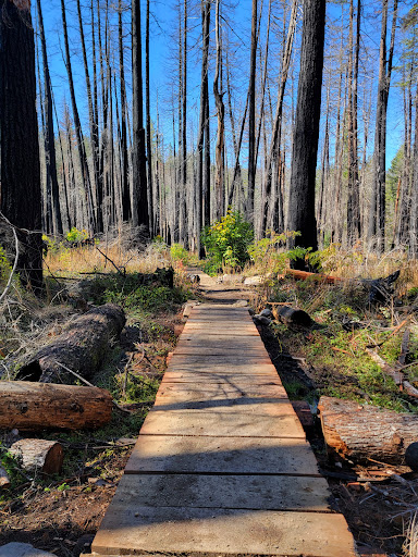 Alder Flat Trailhead - Thumbnail