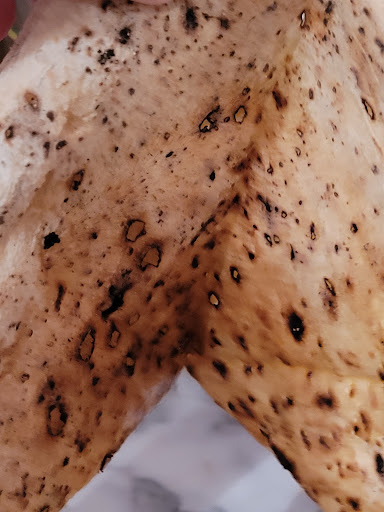 Little Italy Pizza Rhyl - Thumbnail