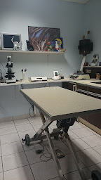 Photo n°8 de Clinique Vétérinaire Univet Saint-Cloud - Dr Isabelle Chao à Saint-Cloud (Clinique vétérinaire)