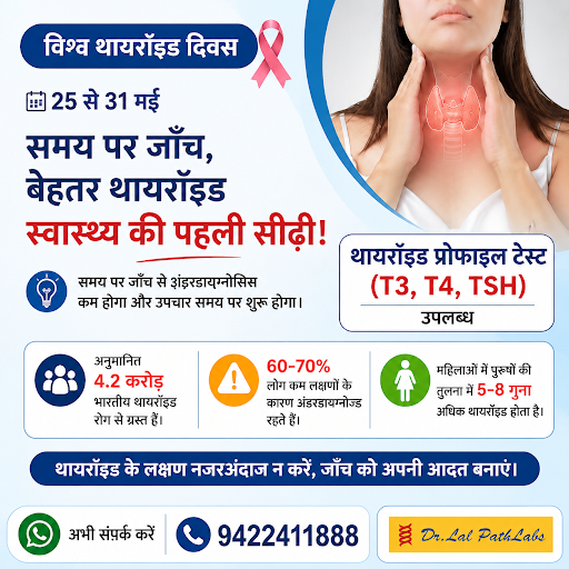 Thyroid Profile ( T3 T4 Tsh) 50% off post image