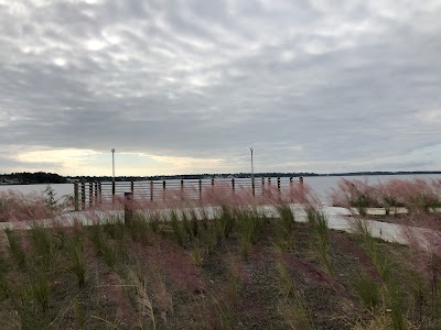 Popps Ferry Causeway Park