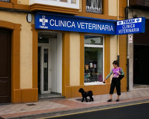 Clínica Veterinaria Terán – Villaviciosa