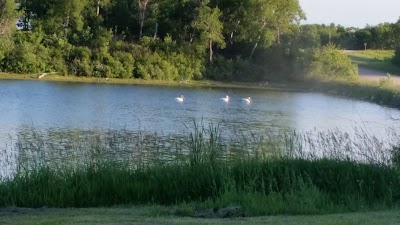 Boy Scout Camp