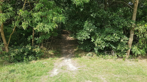 Fehntjer Berg - Thumbnail