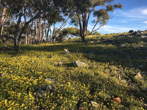 Mt Ida Lookout - Thumbnail
