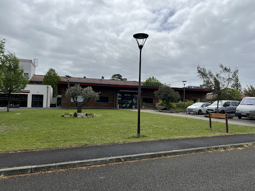 Photo de L'orée des pins