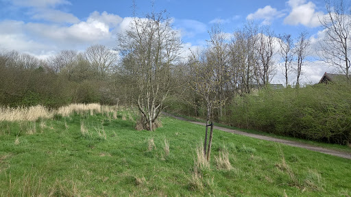 WITHNELL NATURE TRAIL - Thumbnail