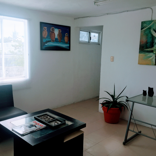 Abogados Cancun - Thumbnail