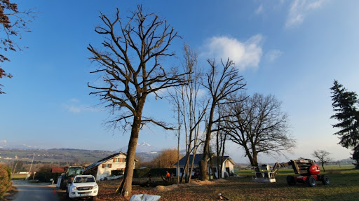Photo de Hallier Paysage Environnement à Eteaux (74800)