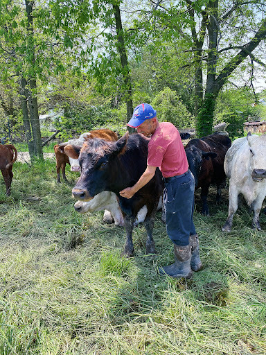 Doctor Family Farms - Thumbnail