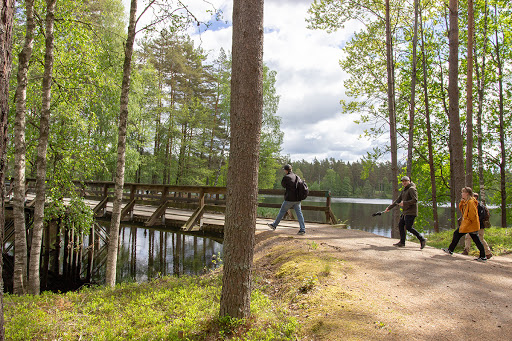 Fågelforsleden - Visual