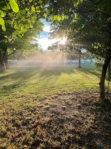 Bradshaw Farms 4U - Thumbnail