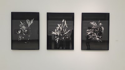 art-gallery