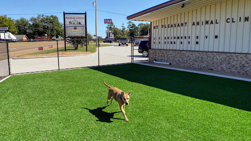 Mt Pleasant Animal Clinic