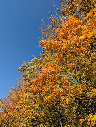 Millar Side Trail - Visual