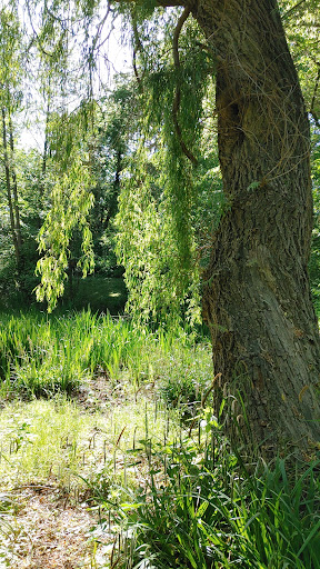 Messelpark - Visual
