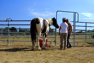 Photo n°3 de Domaine de Kanthaka (Caval'essence) à Montmirat (Centre équestre)