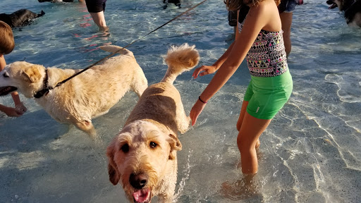 Fox Lake Swimming Pool - Thumbnail