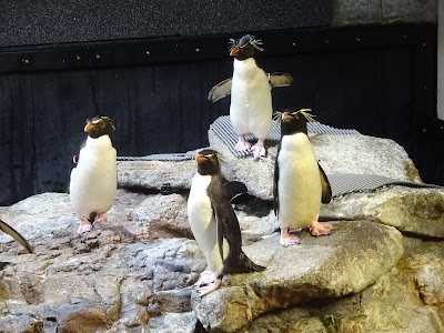 New England Aquarium