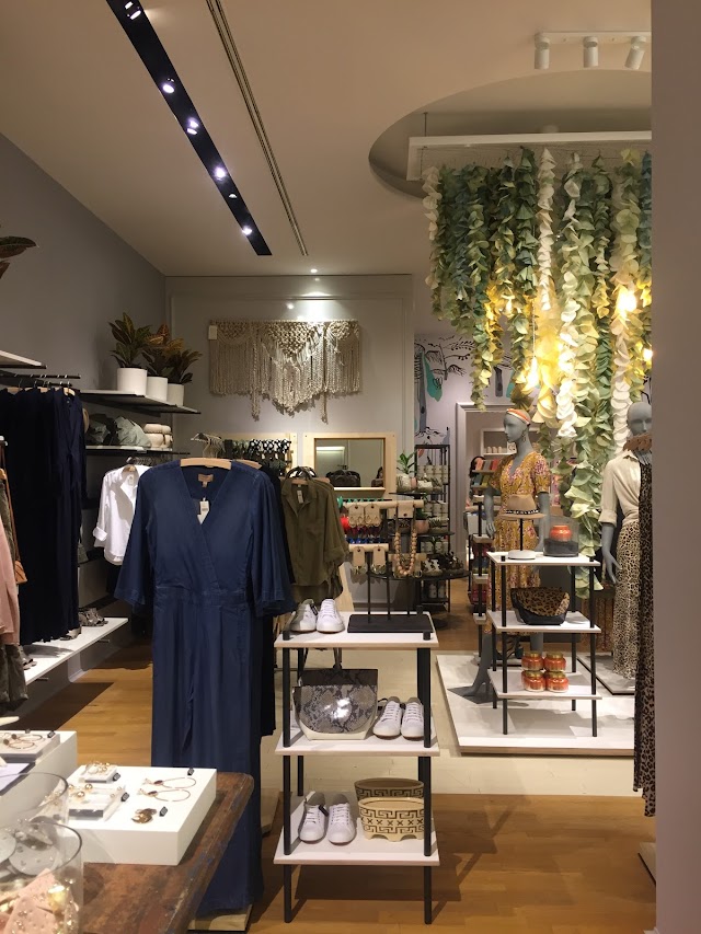 Anthropologie