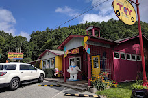 Incredible Toy Company, Blowing Rock, United States