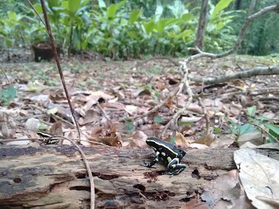 Photos of Cartagena Botanical Garden "Guillermo Pi&ntilde;eres"