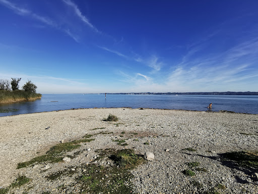 Seecamping Bregenz - Visual