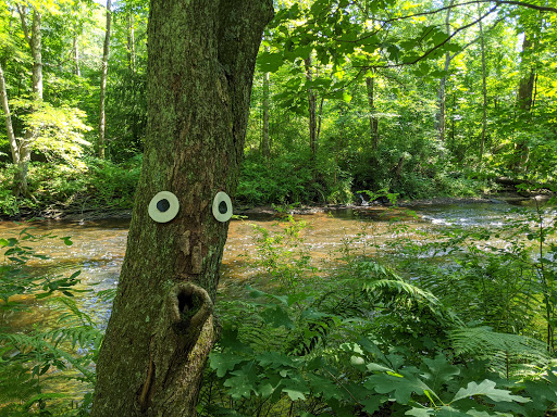 Scantic River State Park East - Thumbnail