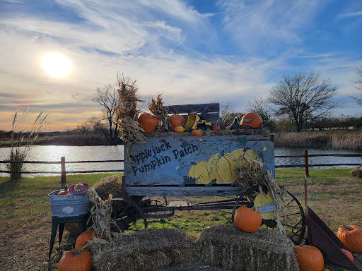 Applejack Pumpkin Patch - Visual