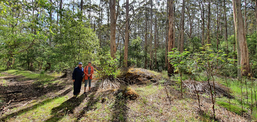 Waddy's Hut Gallery - Australia