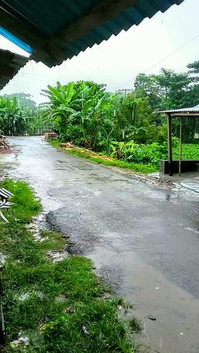 Photos of Dhamaron Tripolly