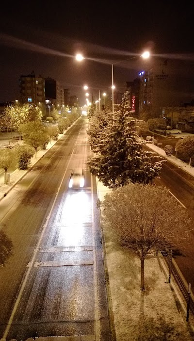 Photos of Hotel Arsames