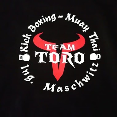 Team Toro, Author: diego hoening