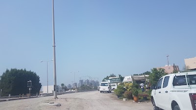 Photos of Aida Gardens