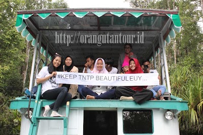 Photos of Orangutan Tour
