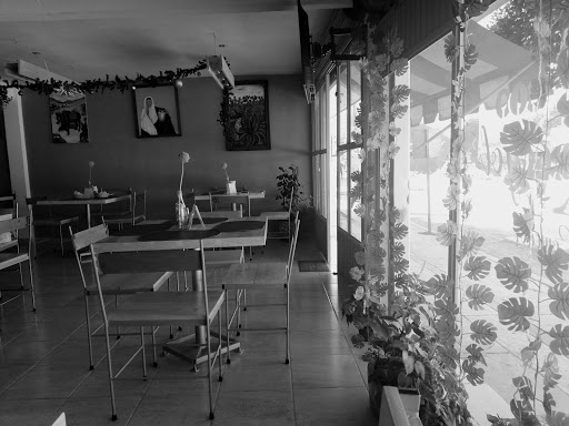 Xocoyol - Visual