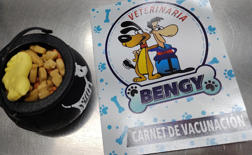 Veterinaria Bengy - Thumbnail