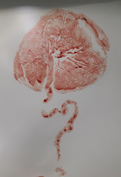 Photo n°6 de Maryline Wybo Doula 06, Doula de France à Opio (Maison de naissance)