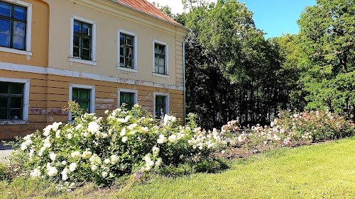 Turistų atrakcijos