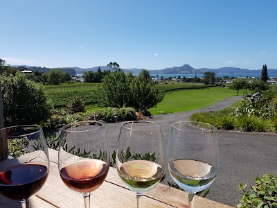 Photos of Cooks Beach Vineyard