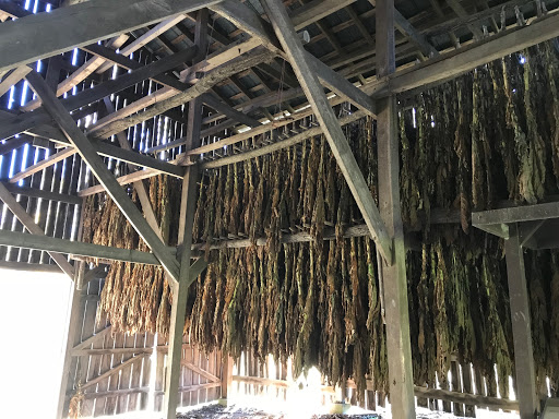 Old Trace Drive Gallery - United States