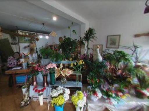 Fiori e Piante Porto Torres