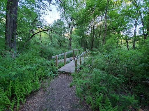 Scantic River State Park East - Thumbnail