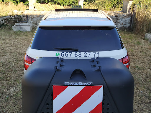 Taxi perros melide