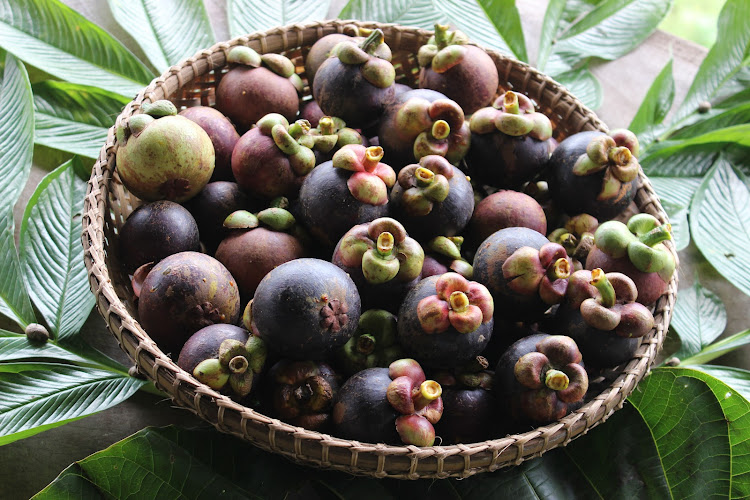 Kuraburi Farm Organic คุระบุรีฟาร์ม สวนผลไม้ออร์แกนิค