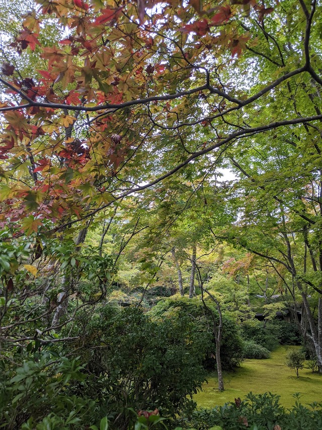 Okochi Sanso Gorge Observation Deck