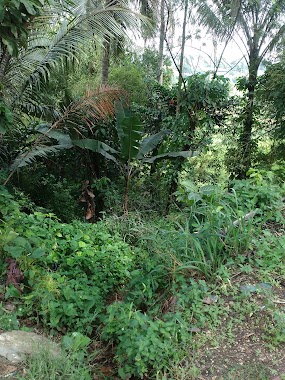 Taman Baletirtawana Blok F dan G, Author: Gunungsunda Megahperkasa