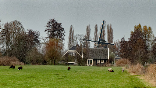 Veenmolen - Thumbnail