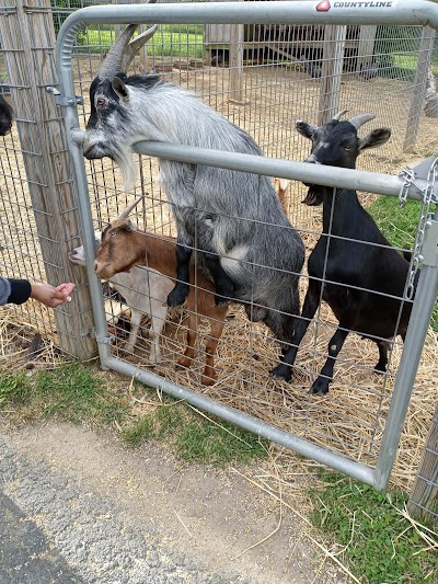 Spring Meadow Farms