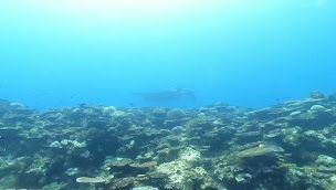 Photo n°2 de Les Eclaireurs du Voyage à Biarritz (Agence de voyages)